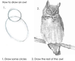 Meme showing on the left a circle and larger oval, and on the right a well-drawn, realistically-shaded owl. Text reads 1. Draw some circles 2. Draw the rest of the owl